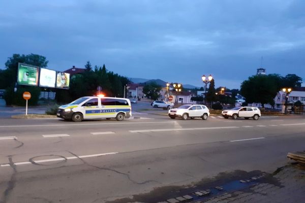 Percheziții la persoane bănuite că ar fi tăiat, fără drept și ar fi sustras arbori din fondul forestier național