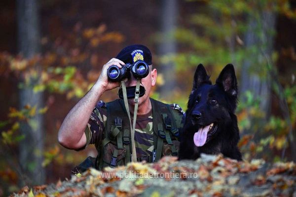 420 de posturi vacante scoase la concurs, prin încadrare directă, la nivelul Poliției de Frontieră Române