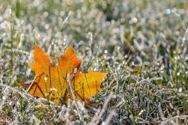 Vremea se schimbă DRASTIC: Temperaturile scad până la 5 grade Celsius. Noi avertizări din partea meteorologilor