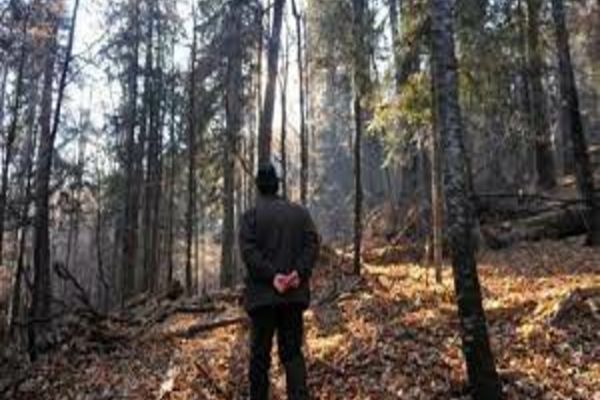 Pădurat din zona Blajului, săltat de polițiști