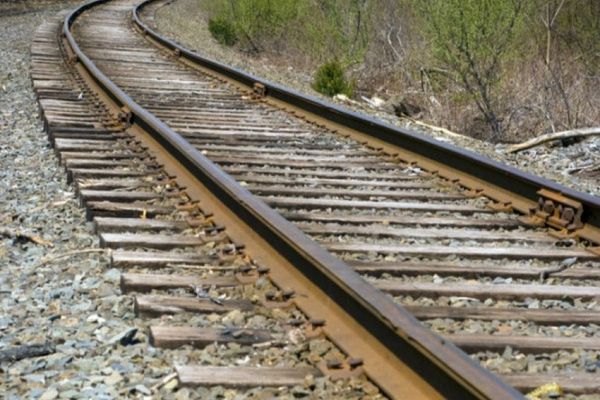 A murit după ce a scuturat nucul!