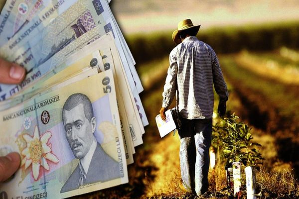 PENSIILE vor crește cu 10% - Pensionarii care au până la 1600 de lei vor primi un sprijin de 1200 de lei