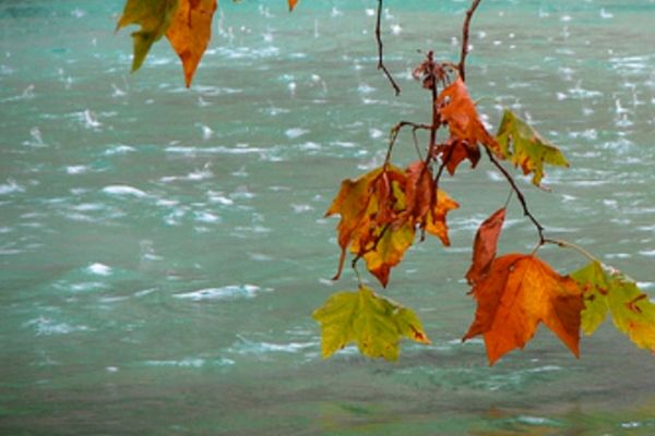 Vreme schimbătoare, cu ceață, ploi, polei și temperaturi peste normalul acestei perioade