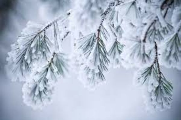 Cum va fi vremea astăzi în țară