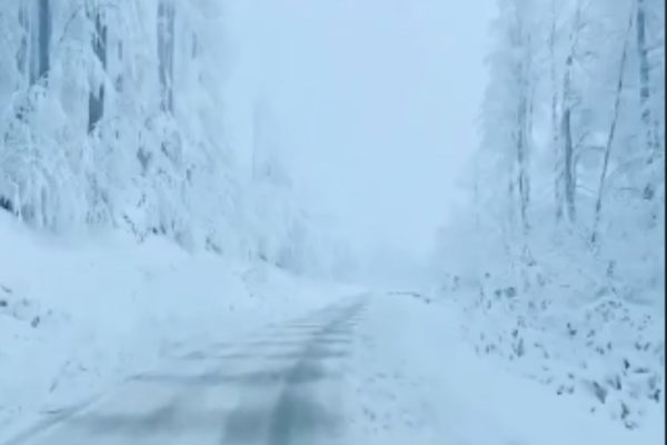 Schimbări radicale ale vremii: ce urmează după valul de ger siberian