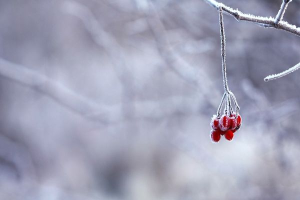 Vremea 6 ianuarie - Temperaturi deosebit de ridicate tocmai în ziua de Bobotează