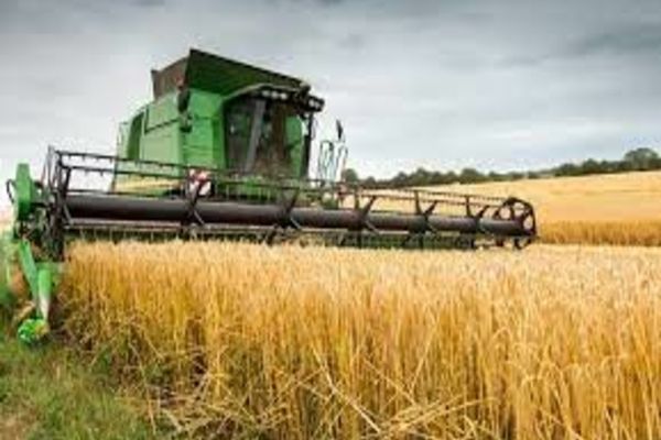 Pachet de sprijin pentru producătorii agricoli şi cei din industria alimentară. Planul Guvernului în fața facturilor fără precedent