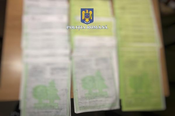 Percheziții în Alba, Sibiu și Mureș la persoane bănuite de fals în domeniul silviculturii