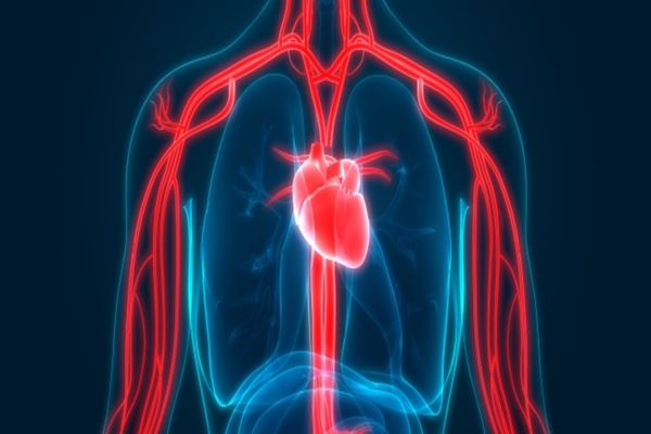 Alimentele care desfundă arterele și curăță sângele