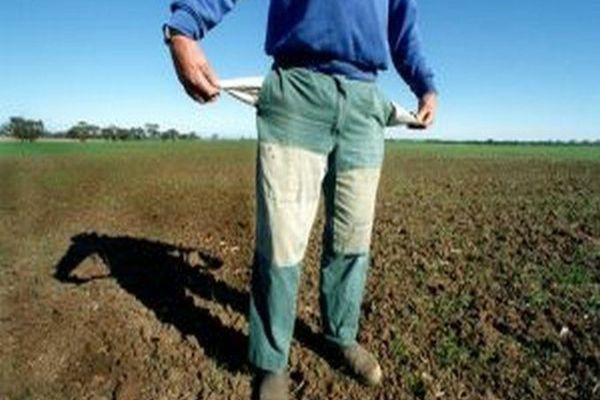 PMP cere măsuri urgente: „Guvernul trebuie să ia ACUM măsuri pentru evitarea unei crize la alimente!”