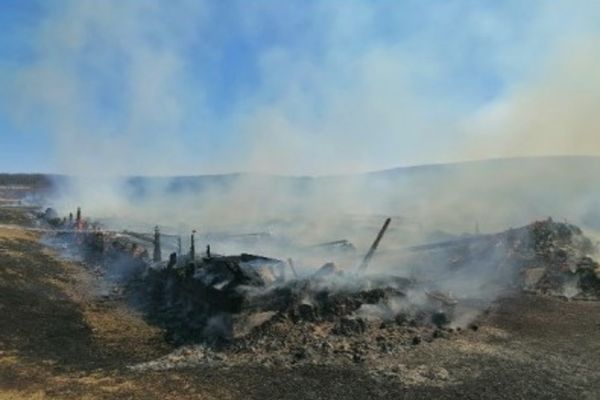 A fost reținut individul care a produs incendiul în care au murit peste 400 de oi 