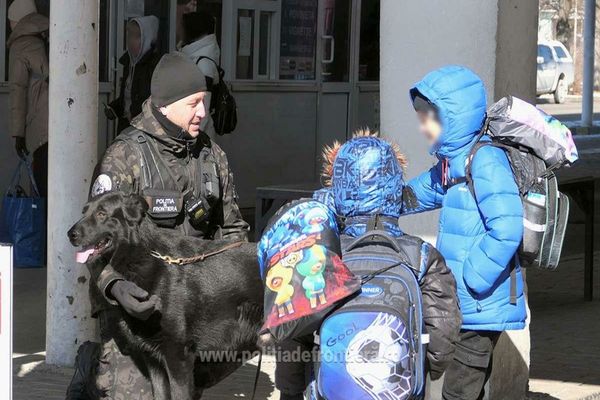 13.769 cetăţeni ucraineni au intrat în România în ultimele 24 de ore