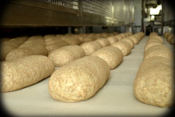 Războiul din Ucraina bagă Europa în faliment. Invazia lui Putin ne scumpește pâinea