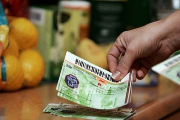 A fost adoptat proiectul de lege potrivit căruia prestatorii de activităţi casnice pot primi tichete 