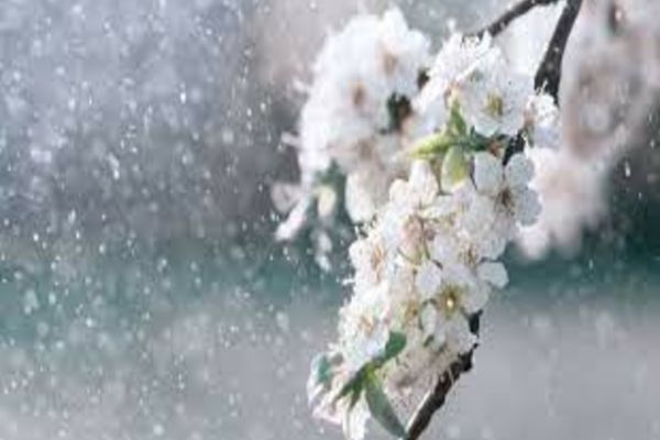 Vremea 8 aprilie - Cresc temperaturile dar se înmulțesc ploile - Vânt puternic în unele zone din țară