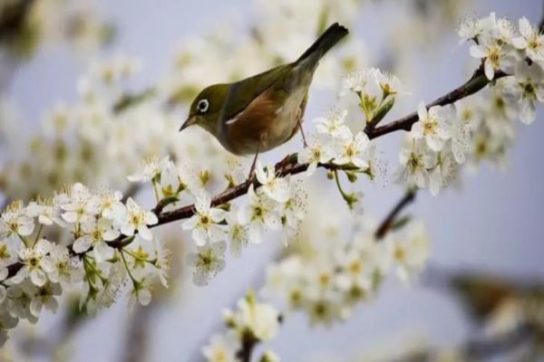 Cer variabil și temperaturi de până la 20 de grade astăzi