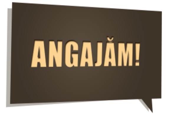 Statul face angajări pe bandă rulantă: 2000 de persoane noi în plină criză - În ce instituții sunt cei mai mulți salariați