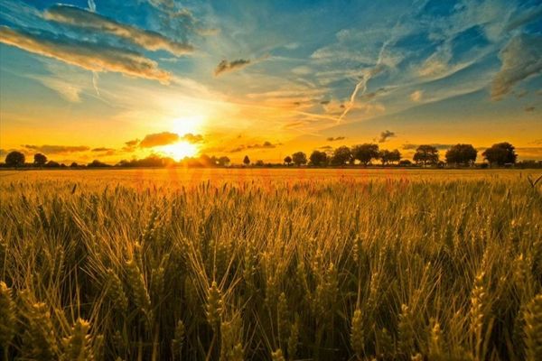 Vreme mai caldă decât în mod obişnuit la această dată, astăzi