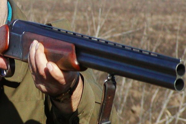 A împușcat fără milă un câine fără stăpân