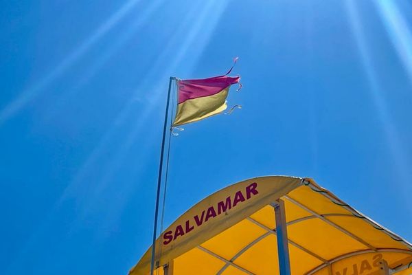 Ce semnificație au steagurile salvamarilor