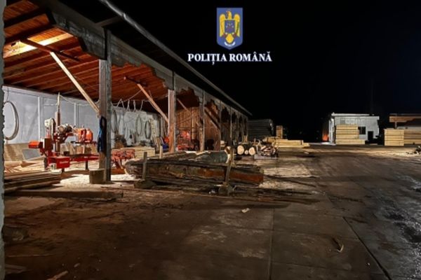 Percheziţii în mai multe judeţe din ţară, într-un dosar de evaziune fiscală, spălare de bani, delapidare şi tăiere fără drept de arbori