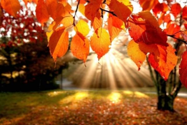 Vremea 1 septembrie - Instabilitate dar și maxime de până la 30 de grade