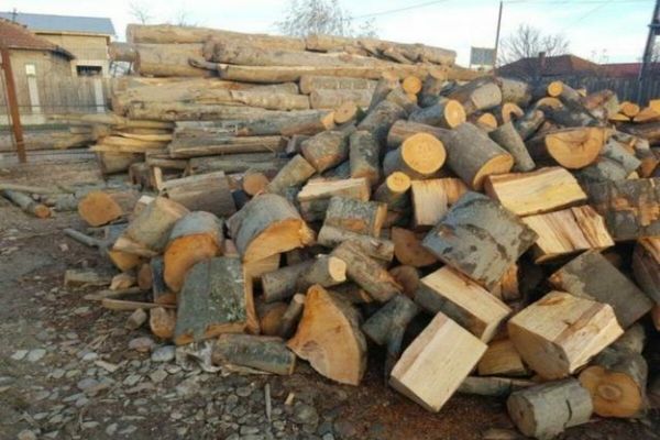 Prețul lemnului de foc, PLAFONAT. Ce preț propune Ministerul Mediului