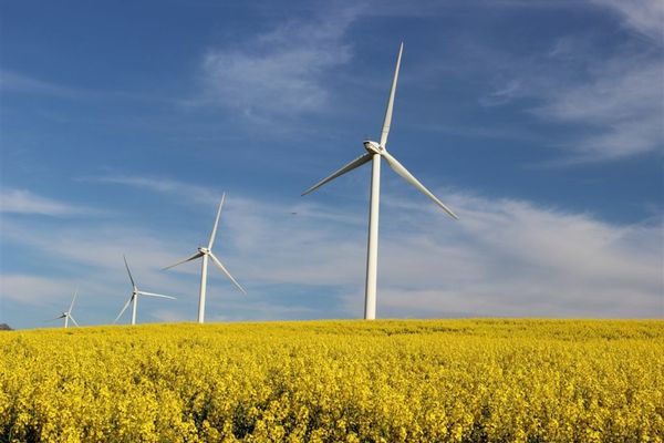 Statul, acuzat că FALIMENTEAZĂ producția de energie verde! Ce spun experții