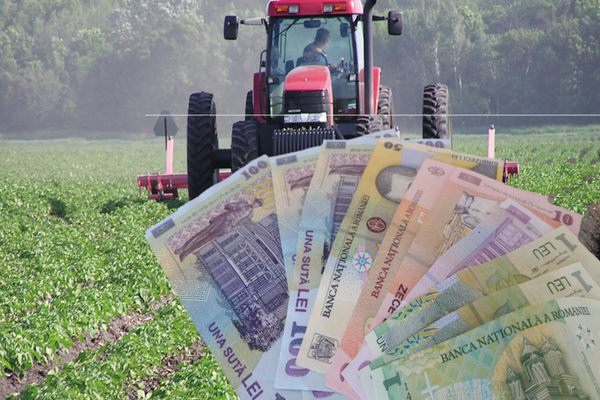 MADR plătește 248,7 milioane lei pentru motorina aferentă trimestrului III al anului 2022