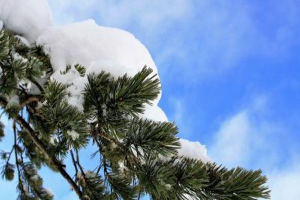 Când vin ninsorile în România - meteorologii au anunțat ce fel de iarnă vom avea