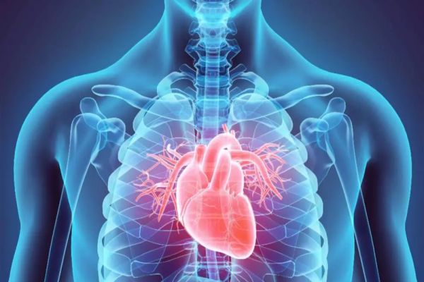 Alimentul surprinzător recomandat de un cardiolog: „Este prietenul inimii”