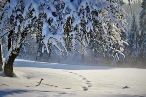 Vremea se schimbă. Va ninge în mai multe zone ale țării