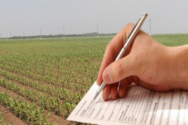 APIA a stabilit cuantumurile ajutoarelor naționale tranzitorii aferente sectoarelor vegetal și zootehnic, pentru anul de cerere 2022