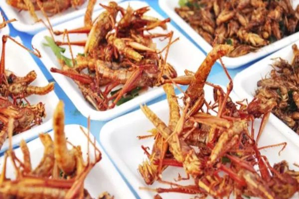 Ce europeni ar accepta cel mai rapid INSECTELE în farfurie