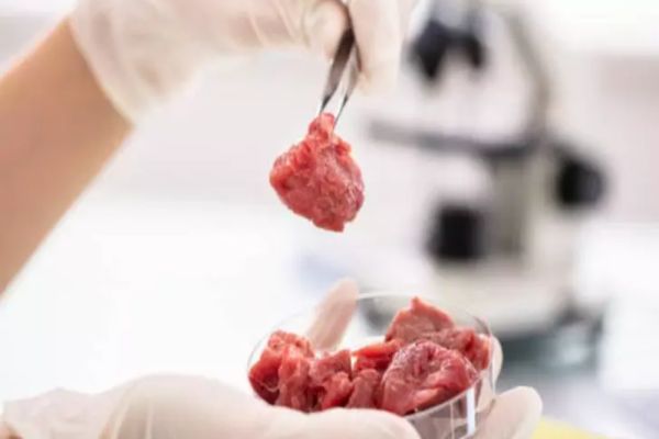 Alertă alimentară în magazinele românești: E-Coli și stafilococ auriu, în carnea de pui și de porc