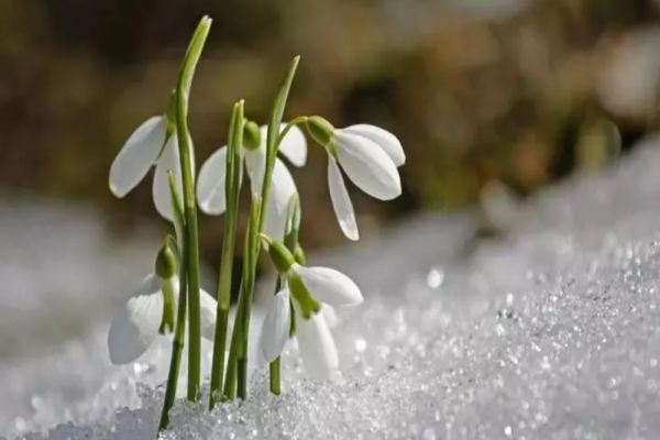 Cum va fi vremea în următoarele 4 săptămâni. Prognoza meteo pentru luna februarie