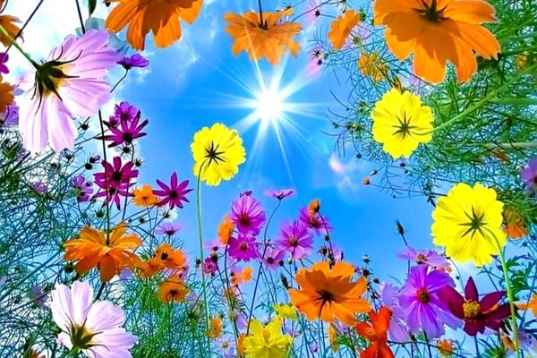 Prognoza meteo pentru următoarele 4 săptămâni. Primăvara își intră în drepturi!