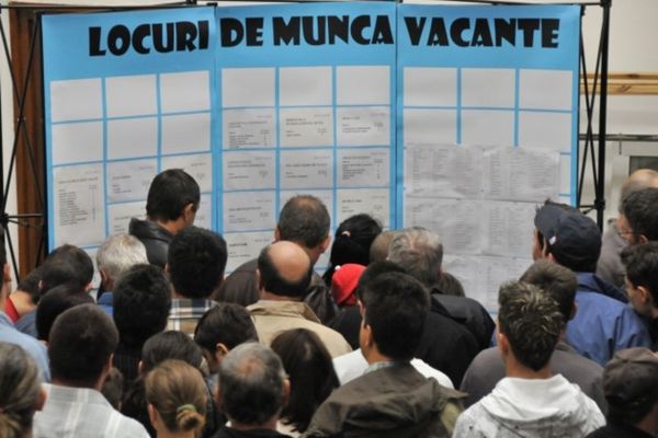 Rata șomajului în județul Alba