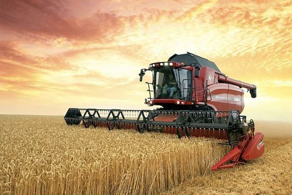 MADR: Ajutor de 20,1 mln de euro pentru producătorii agricoli din sectorul cerealelor