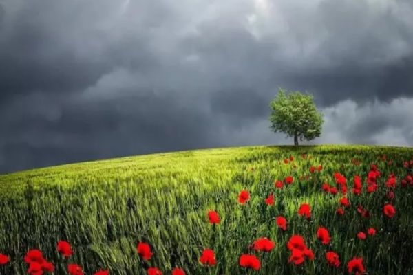 Prognoza meteo - cum va fi vremea în vara anului 2023. Când începe sezonul furtunilor