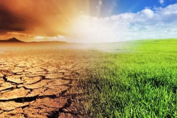 Efectele caniculei din ultimele zile - Agricultura şi construcțiile, grav afectate 