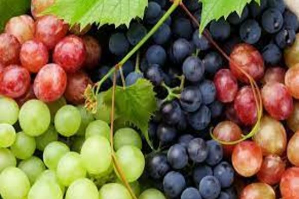 Efectele secundare neașteptate ale strugurilor asupra sănătății. Iată ce ar trebui să știi