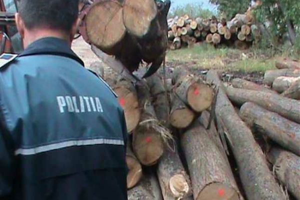 Amenzi de 13.300 de lei și 70 de metri cubi de material lemnos, confiscați