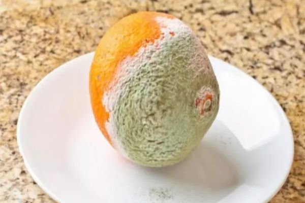 Şi tu tai partea mucegăită din fruct şi consumi restul? Cât de SIGUR este acest obicei