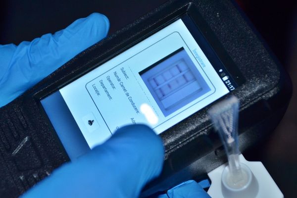 O tânără riscă 5 ani de închisoare după ce a fost depistată cu drogul Khat la volan! Ce efecte are substanța extrem de rară din Africa