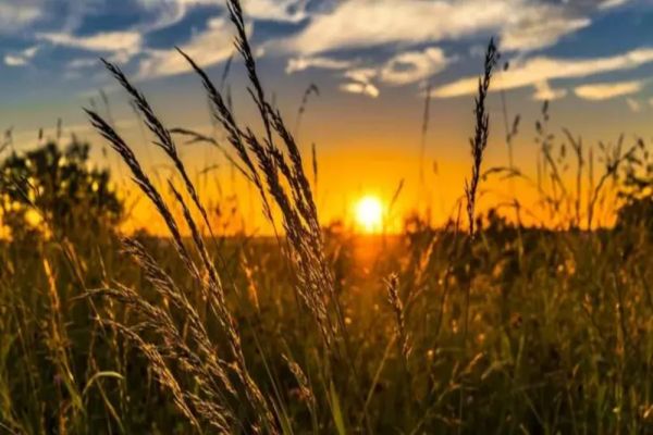 Un val neobișnuit de căldură va lovi România în următoarele zile