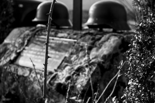 Olanda se pregătește de ce e mai rău: Populația primește instrucțiuni clare pentru primele 72 de ore după un dezastru