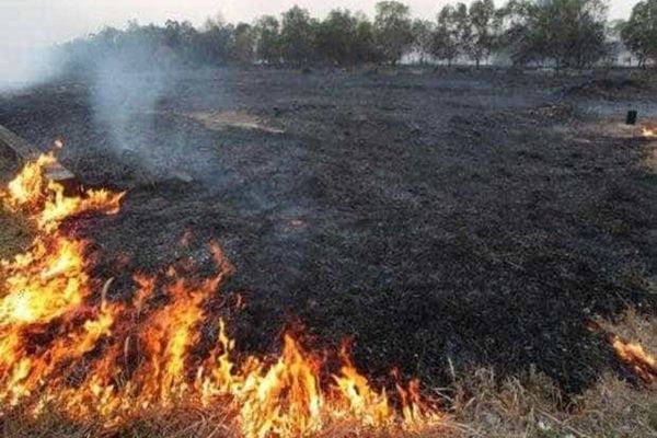 INCENDIILE DE VEGETAȚIE AU MAI FĂCUT O VICTIMĂ