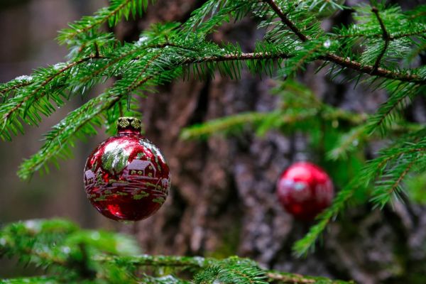 Vouchere pentru brazii de Crăciun returnați: un mare retailer din România oferă bani clienților