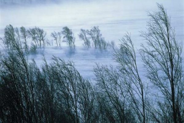 ANM A EMIS AVERTIZĂRI DE VREME REA: VÂNT PUTERNIC ȘI VISCOL ÎN ZONELE MONTANE